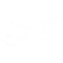 flight-icon